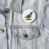 California Valley Quail Ronde Button 5,7 Cm (In situ)