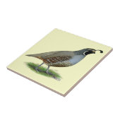 California Valley Quail Tegeltje (Zijkant)