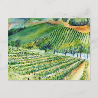 California Vineyard Briefkaart
