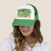 California Vineyard Pet (In situ)