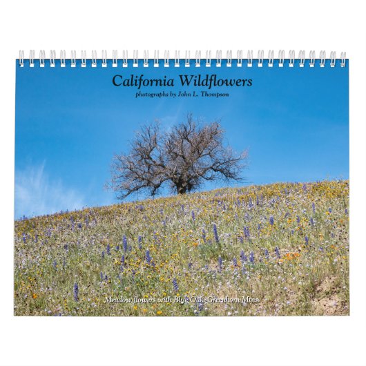 California Wildflowers 2020 Kalender (Hoes)