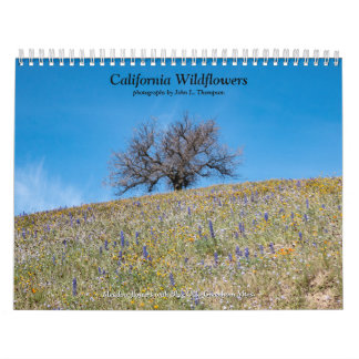 California Wildflowers 2020 Kalender