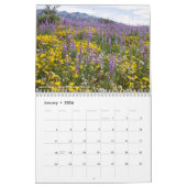 California Wildflowers 2020 Kalender (Jan 2026)