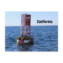 California Zee Lion Briefkaart