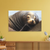 California Zee Lion Resting Canvas Afdruk (Insitu (Woonkamer))