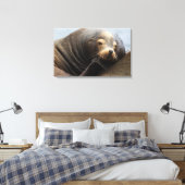 California Zee Lion Resting Canvas Afdruk (Insitu (Slaapkamer))