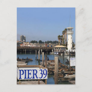 California Zee Lions Briefkaart