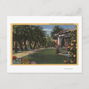 CaliforniaA Palm Shaded Walk Briefkaart