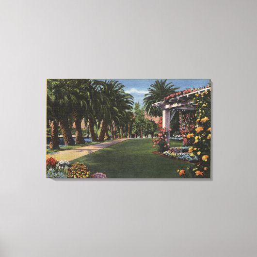 CaliforniaA Palm Shaded Walk Canvas Afdruk (Voorkant)