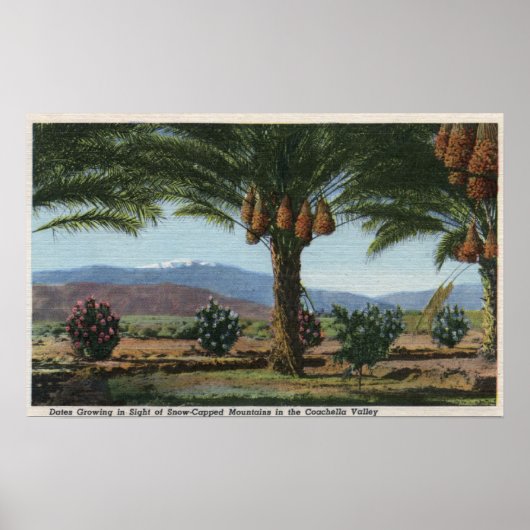 CaliforniaDates Groeiend in de Coachella Poster (Voorkant)