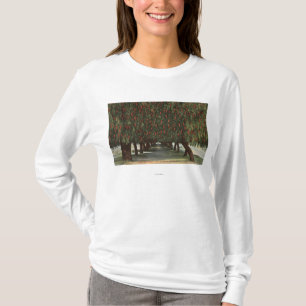 CaliforniaGroves of Pepper Trees T-shirt