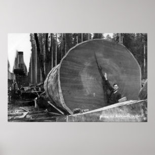 CaliforniaMan door Cut Redwood Log Poster