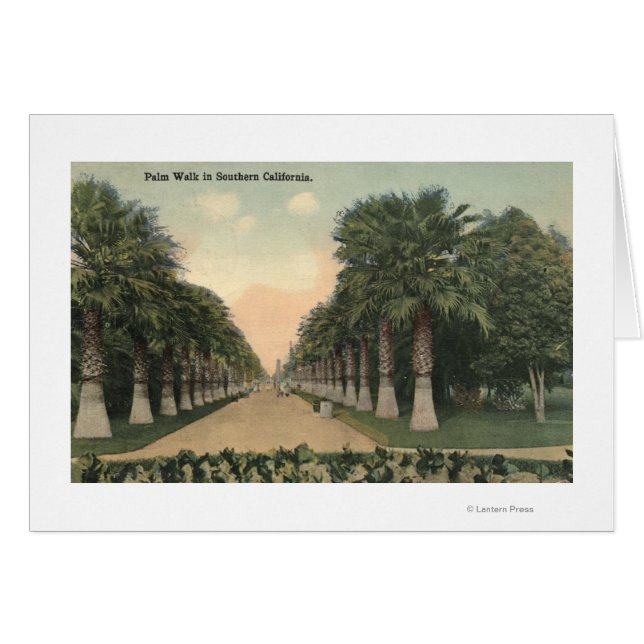 CaliforniaPalms Le Long De La Route (Devant horizontal)