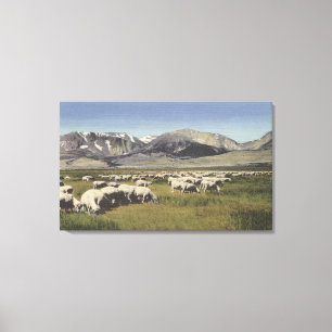 CaliforniaSheep Grazing in de Hoge Sierra Canvas Afdruk