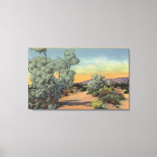 CaliforniaView of Smoke Trees in woestijn Canvas Afdruk