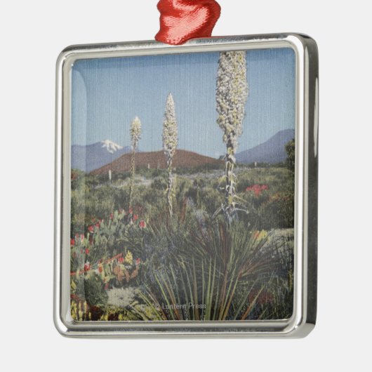 CaliforniaYucca Cacti in Bloom in woestijn Metalen Ornament (Links)