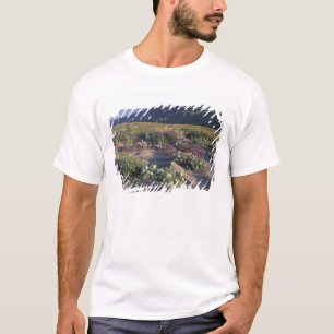 Californië, Anza-Borrego Desert SP, Zand T-shirt