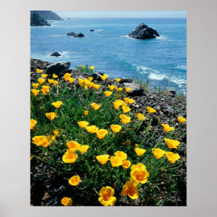 Californië, Big Sur-kust, Centrale kust 1 Poster