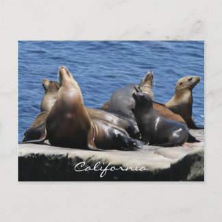 Californië Briefkaart