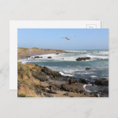 Californië Briefkaart (Voorkant / Achterkant)