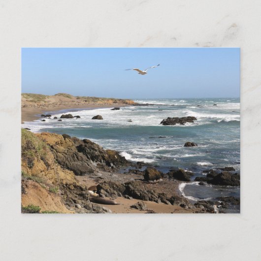 Californië Briefkaart (Voorkant)