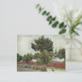  Californië Briefkaart (Staand voorkant)