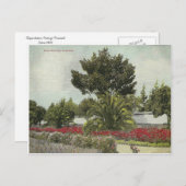  Californië Briefkaart (Voorkant / Achterkant)