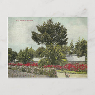 Californië Briefkaart