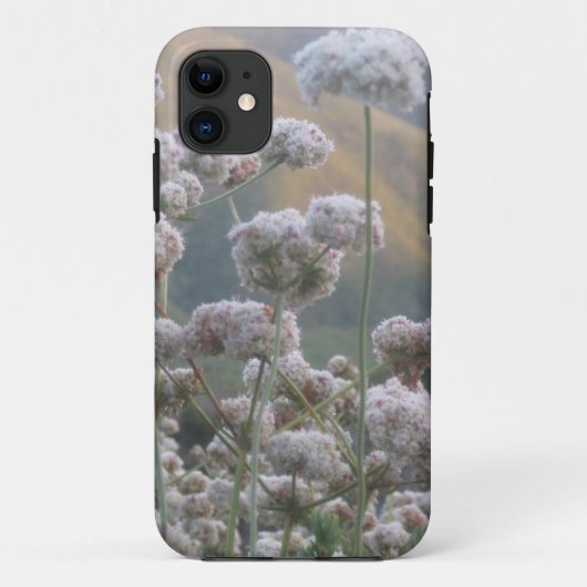 Californië Buckwheat Case-Mate iPhone Case (Achterkant)