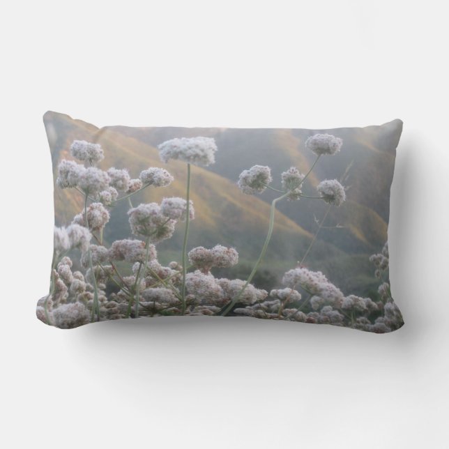Californië Buckwheat Kussen (Voorkant)