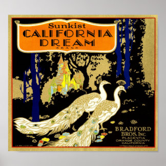 Californië Dream Merk Sinaasappel Crate Fruit Labe Poster