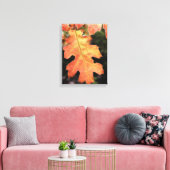 Californië, een herfstkleurig eikenblad canvas afdruk (Insitu (Woonkamer))