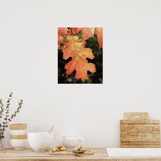 Californië, een herfstkleurig eikenblad poster (Keuken)