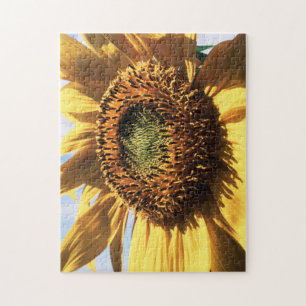 Californië, een reuzenzonnebloem (Helianthus) 1 Legpuzzel