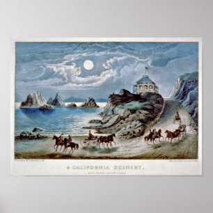 Californië-hertog: Segelrots-punt Lobos Poster