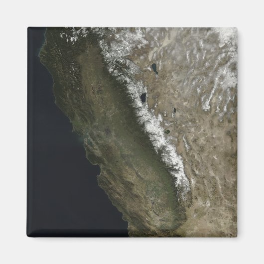 Californië Magneet (Voorkant)