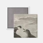 Californië Magneet (Voorkant / Achterkant)