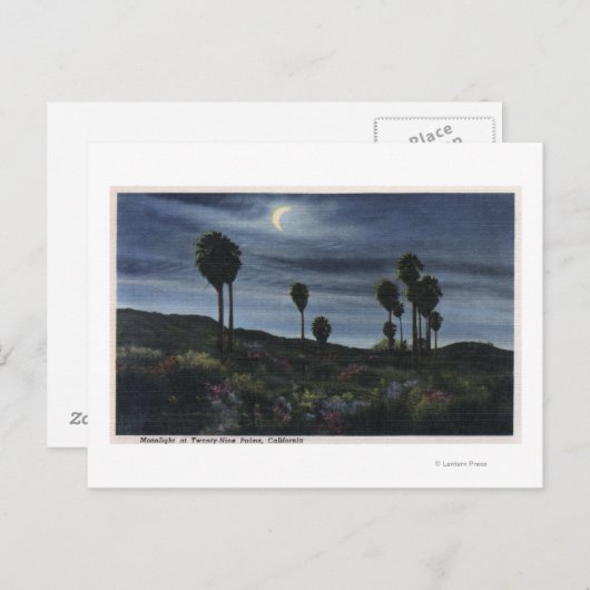 Californië-Moonlit Uitzicht op negenentwintig palm Briefkaart (Voorkant / Achterkant)
