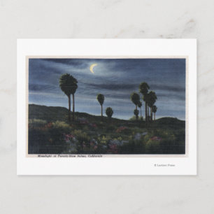 Californië-Moonlit Uitzicht op negenentwintig palm Briefkaart