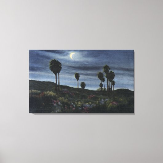 Californië-Moonlit Uitzicht op negenentwintig palm Canvas Afdruk (Voorkant)