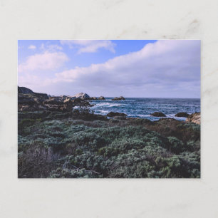 Californië Pacific Coast Point Lobos Monterey Briefkaart