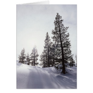 Californie, Rancho Cuyamaca State Park
