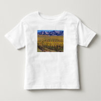 Californië, San Luis Obispo County, Edna Valley