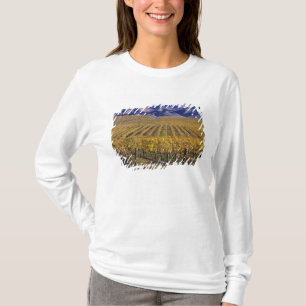 Californië, San Luis Obispo County, Edna Valley T-shirt