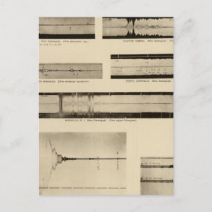 Californië Seismogrammen 2 Briefkaart