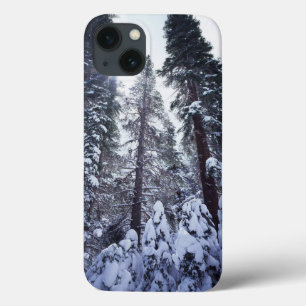 Californië, Sierra Nevada bergen 9 iPhone 13 Hoesje