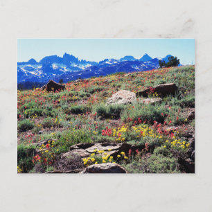 Californië, Sierra Nevada-gebergte 1 Briefkaart