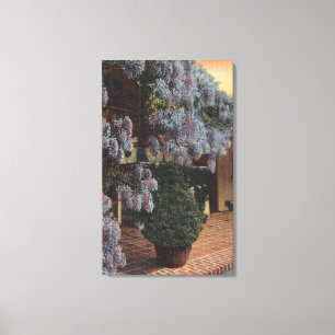 Californië-Wisteria-Plant in Bloom Canvas Afdruk