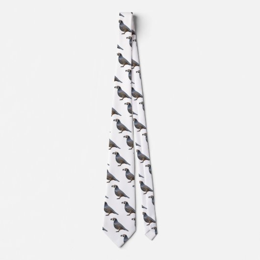 Californische cartoon stropdas (Voorkant)