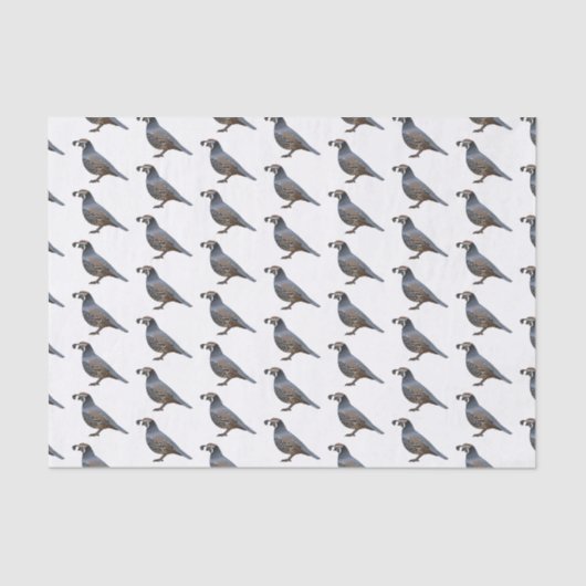 Californische cartoon tissuepapier (Voorkant)